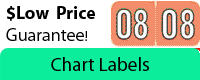 Alergy Labels, Year Labels, Alpha Labels, Month Labels, Medical Labels, HIPAA Labels,